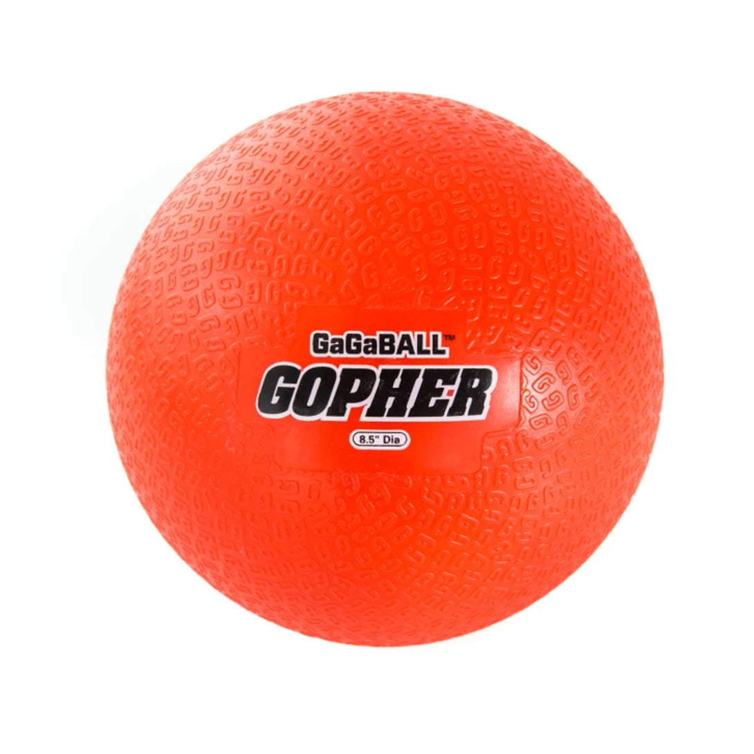 Official PGBA Gaga Ball