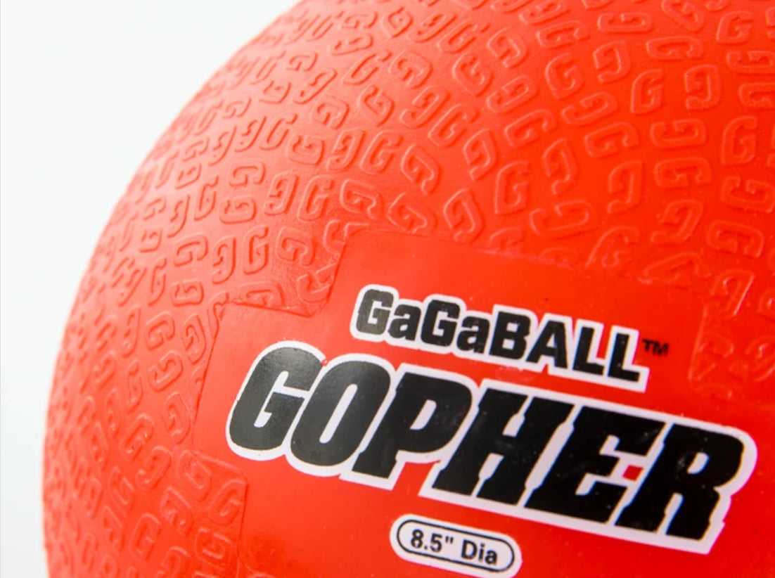 Official PGBA Gaga Ball
